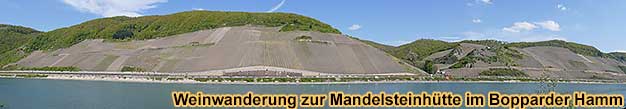 Weinwanderung im Weinbaugebiet Mittelrhein an jedem gewnschten Termin inklusive Weinprobe im Weinberg im Bopparder Hamm bei Boppard am Rhein